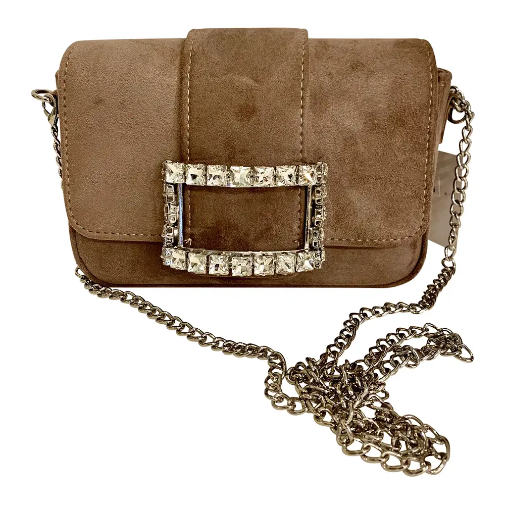 7665 Silver Buckle Purse With Silver Chain