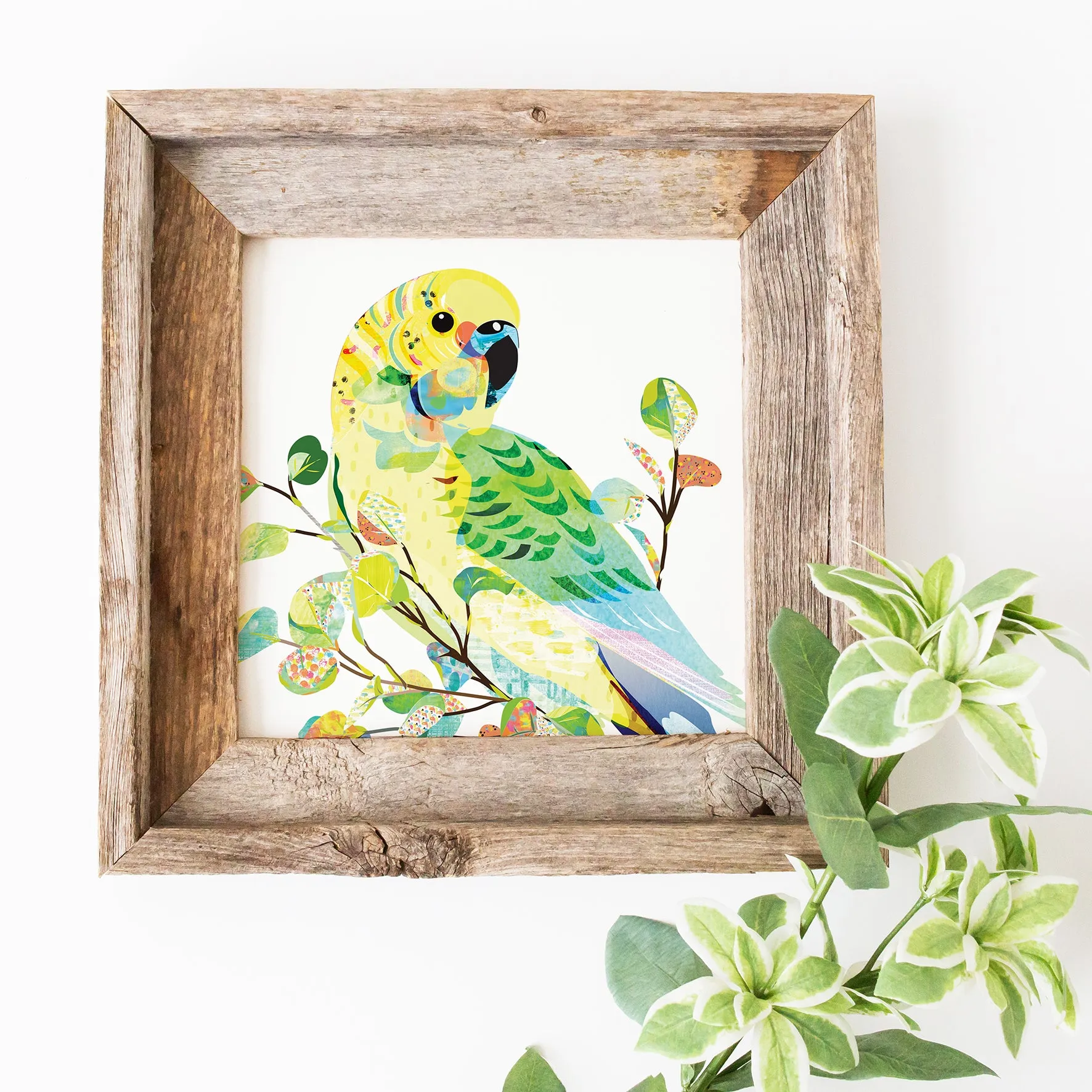 Budgerigar Art Print