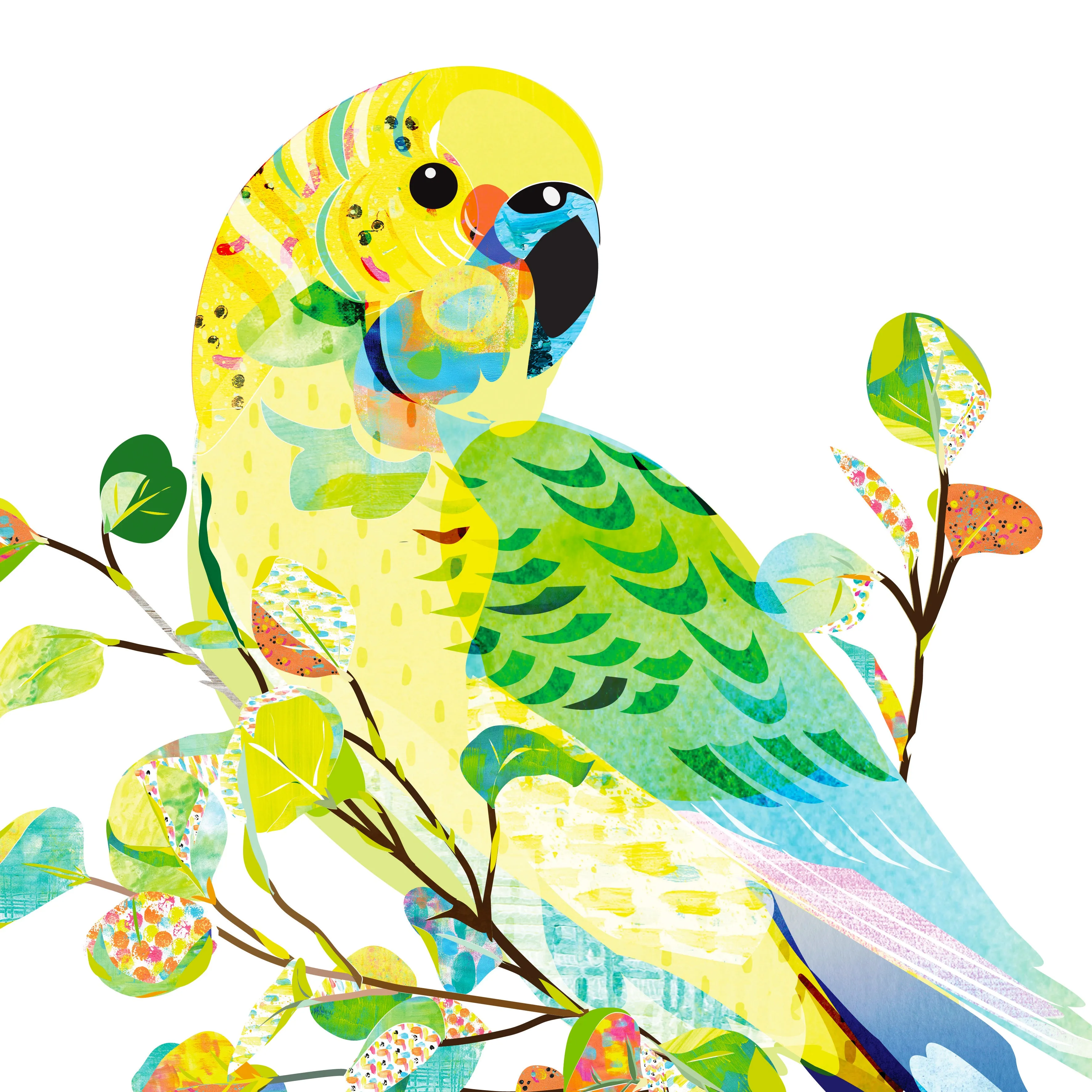 Budgerigar Art Print