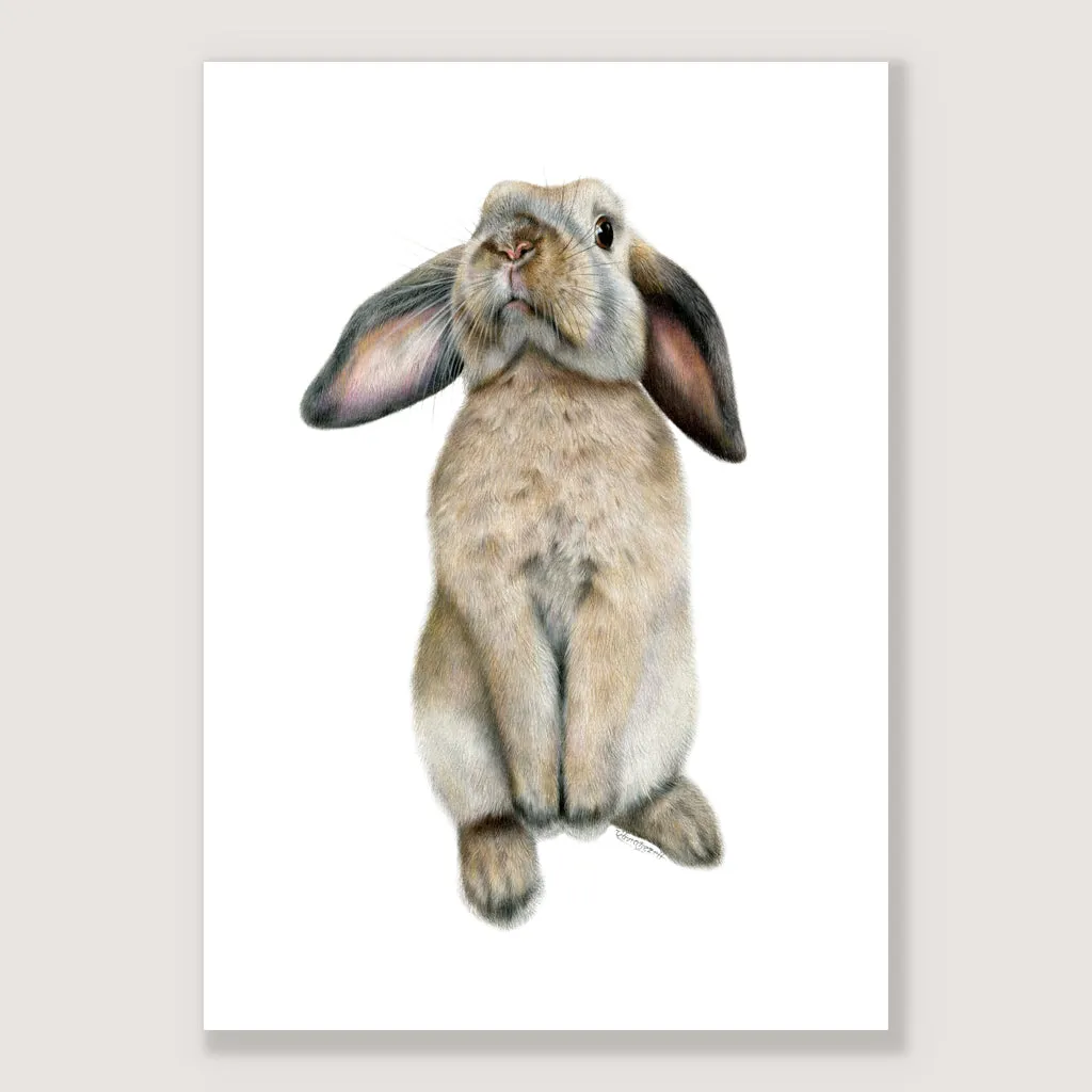 Curious Bunny Print