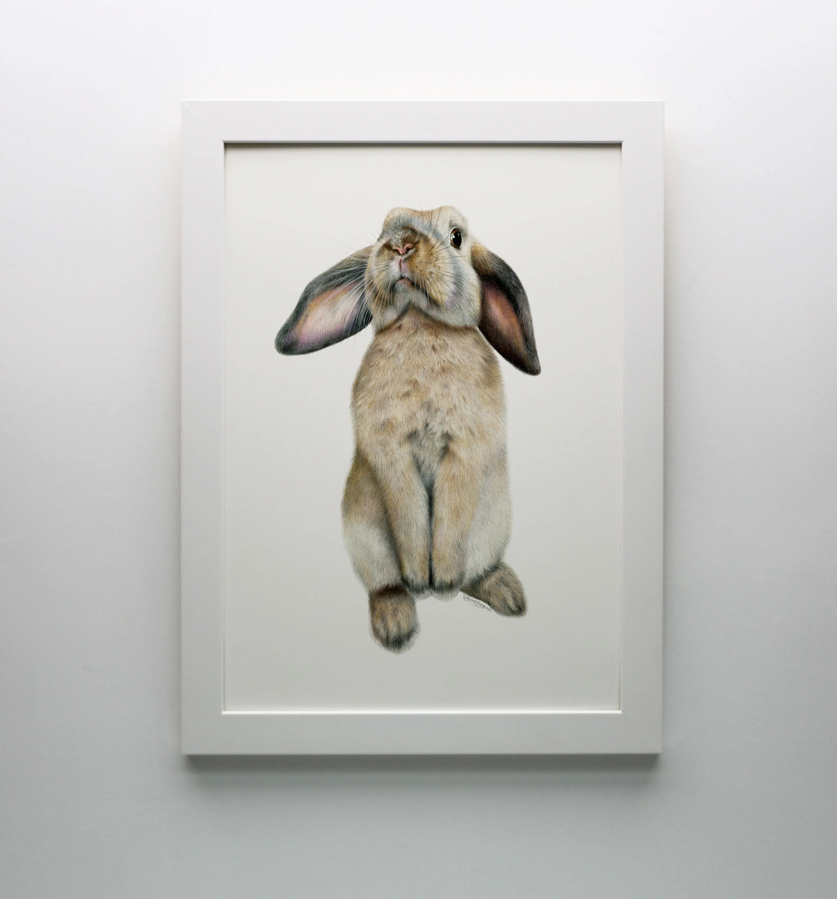 Curious Bunny Print