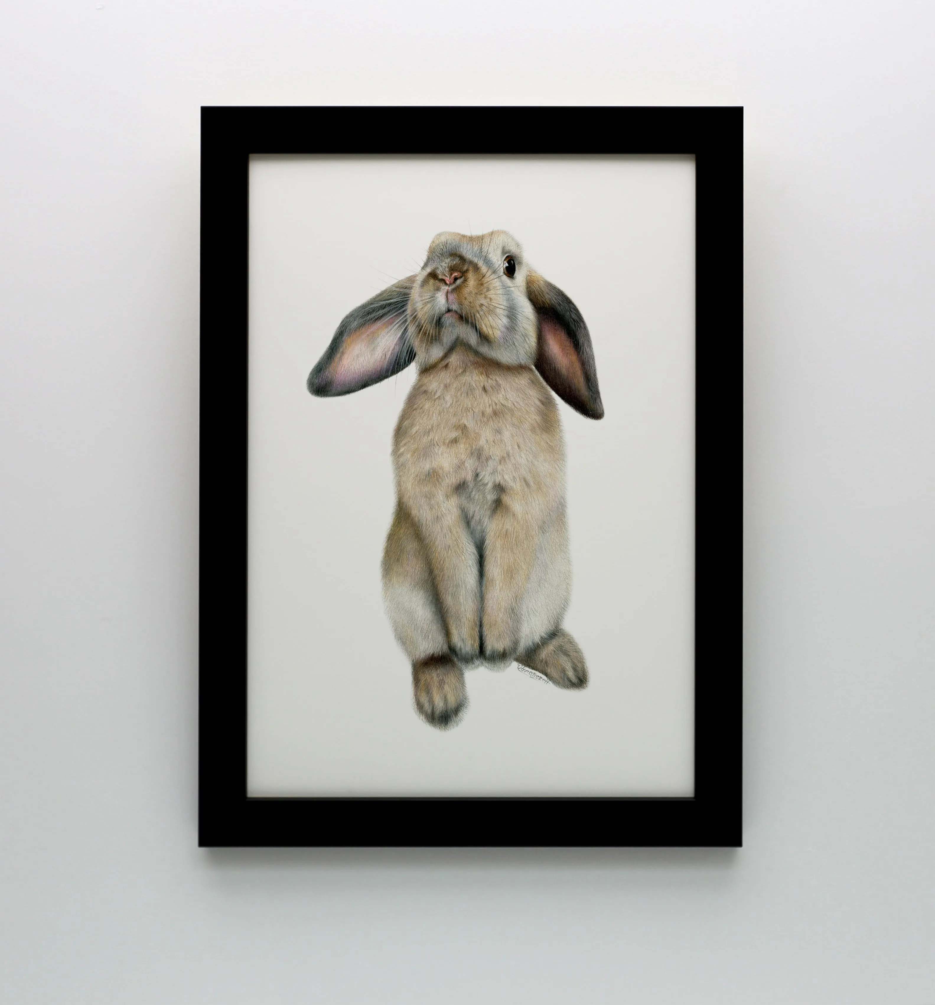 Curious Bunny Print