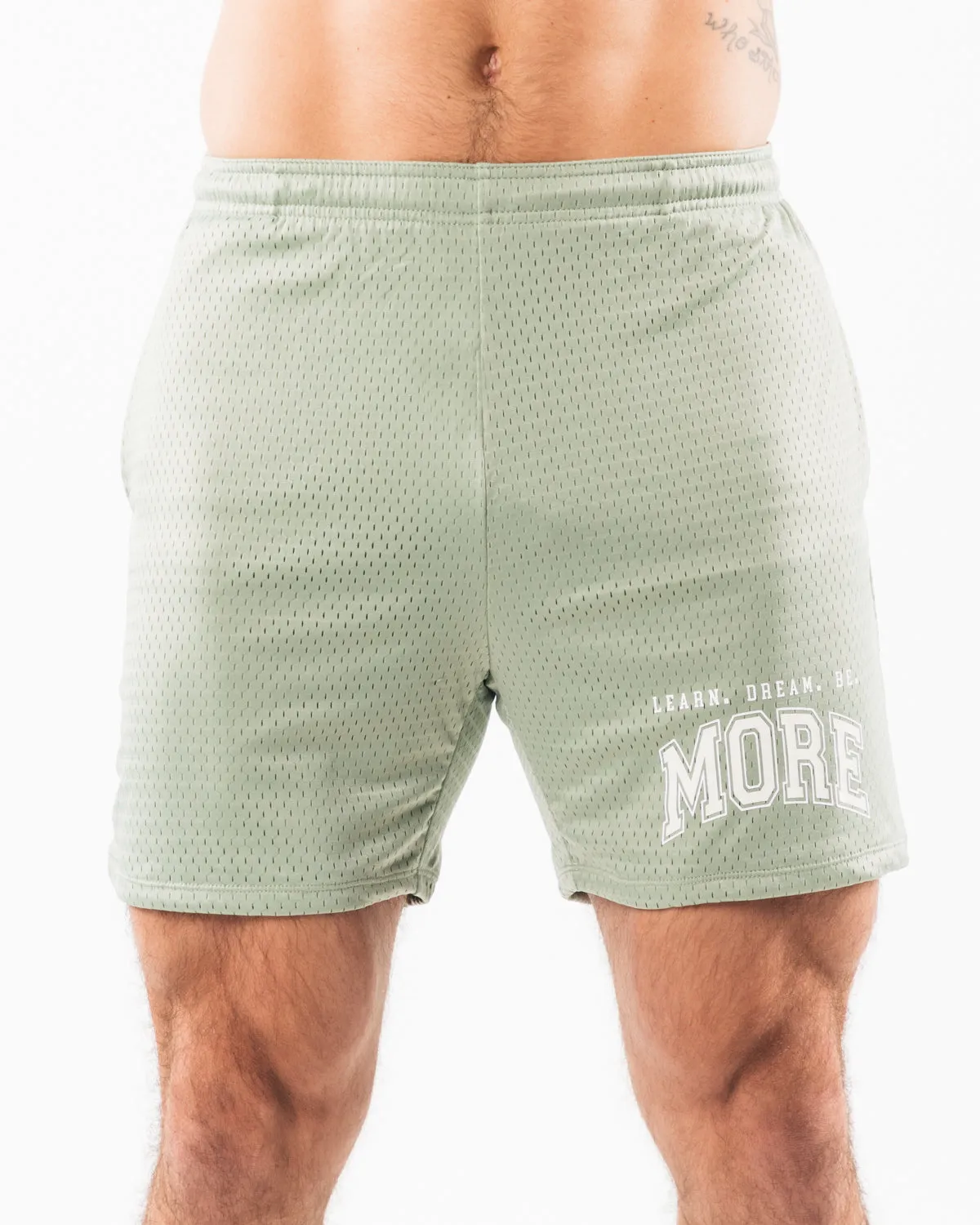 LDB More Mesh Short 6 - Sage