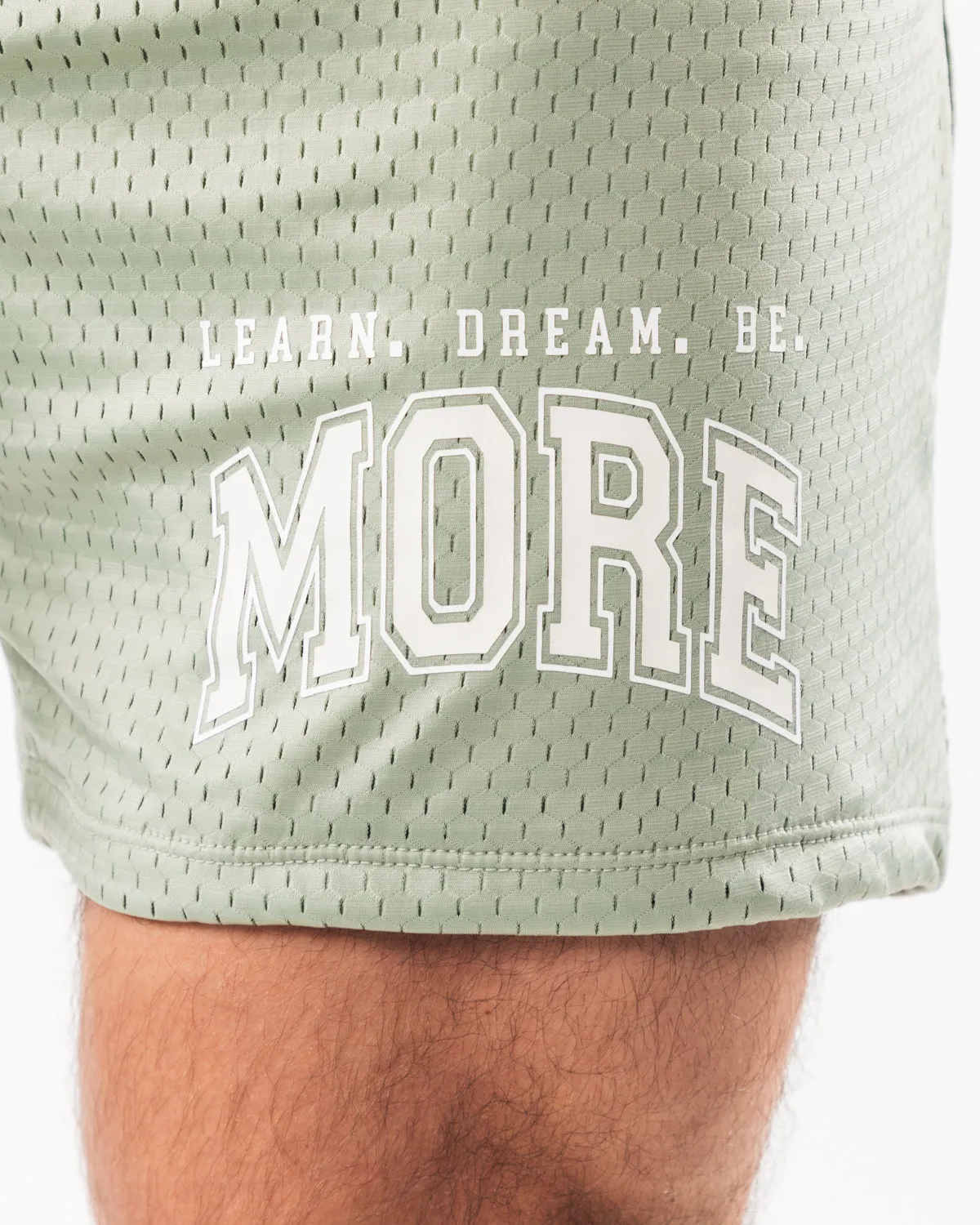 LDB More Mesh Short 6 - Sage