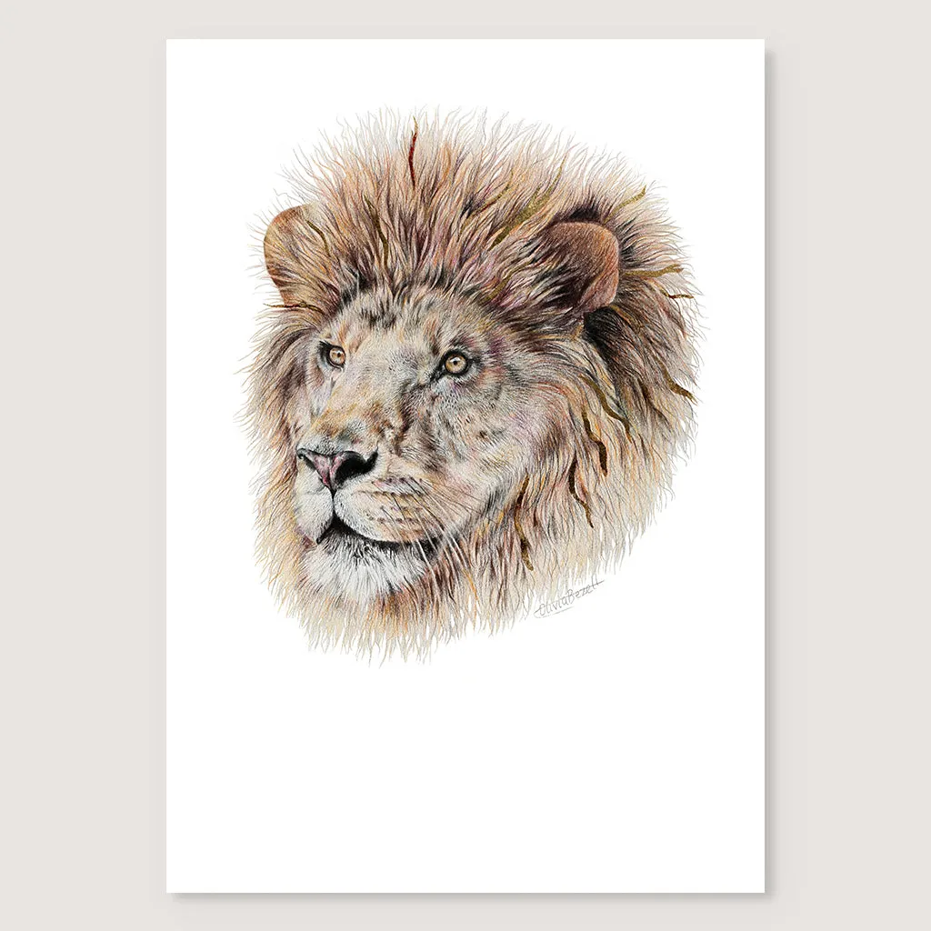 Lion Print