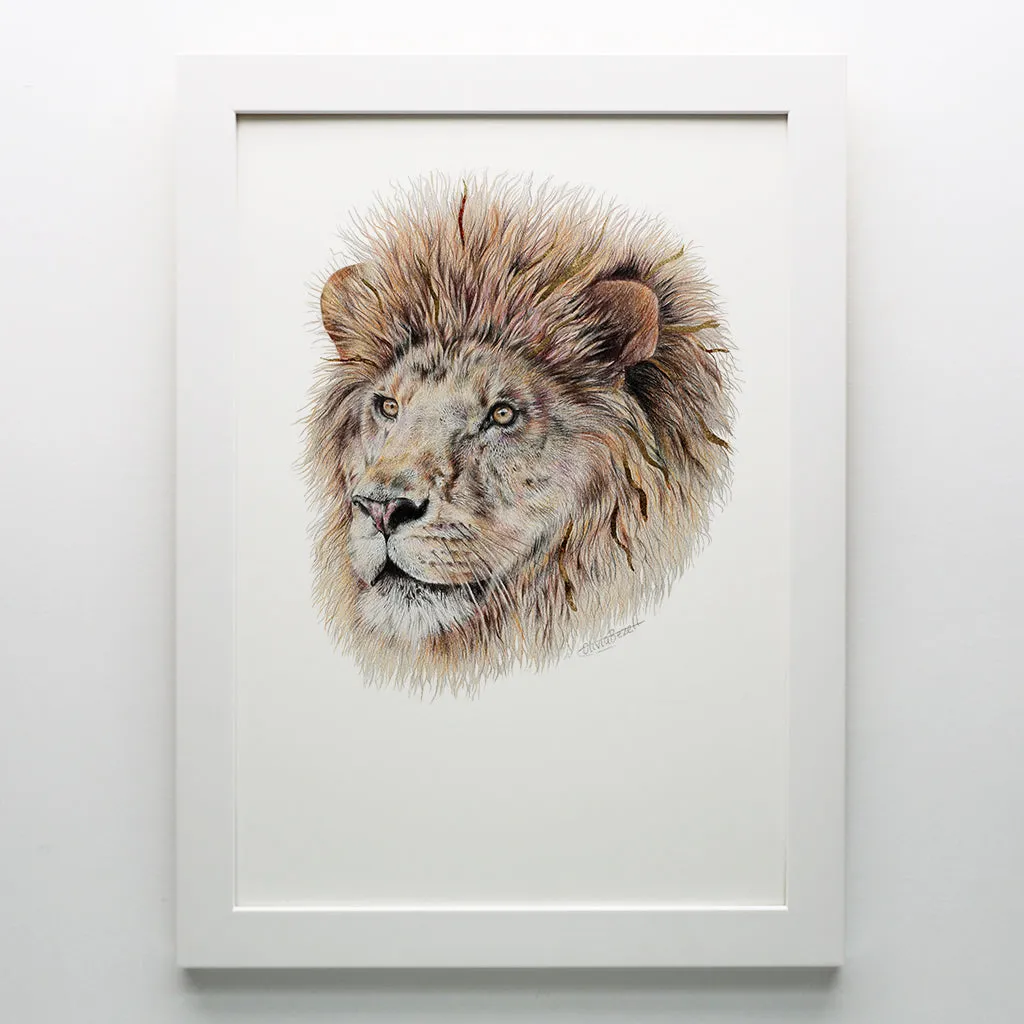 Lion Print