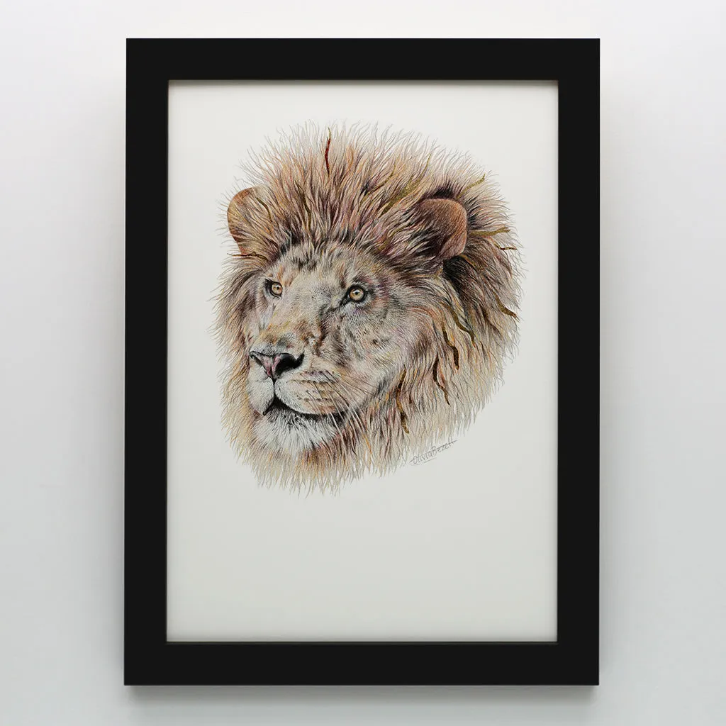 Lion Print