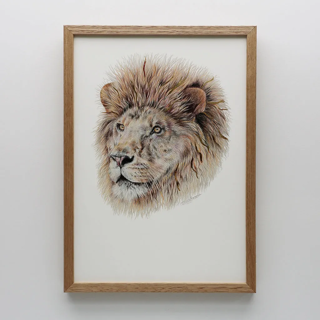 Lion Print