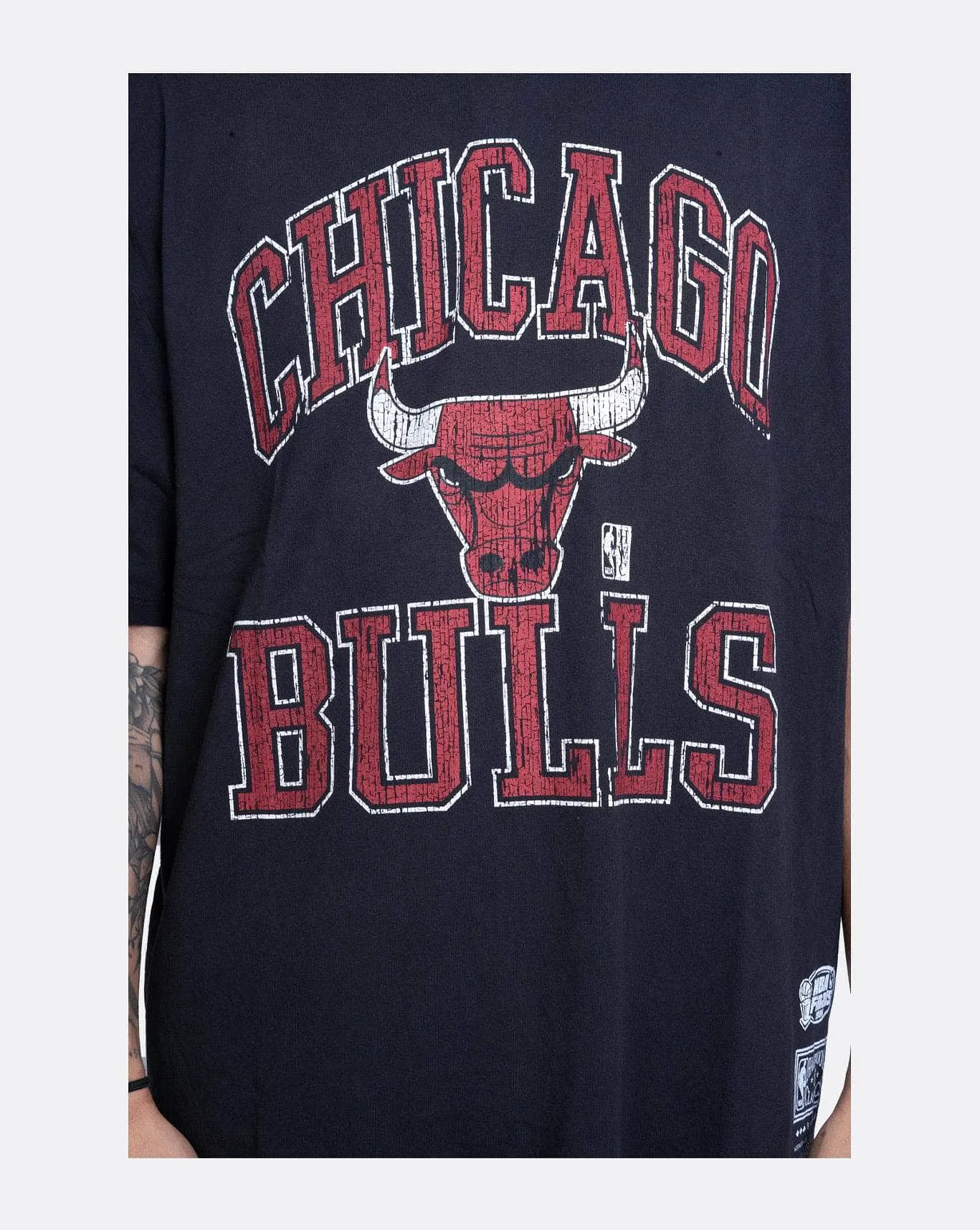 Mitchell & Ness Vintage HWC Ivy Arch CLR Bulls Tee