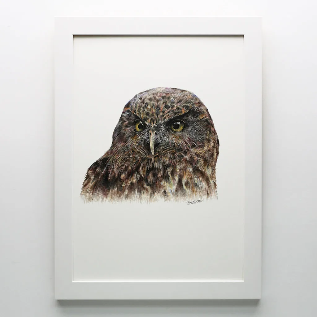 Morepork Print