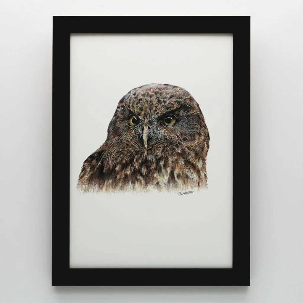 Morepork Print