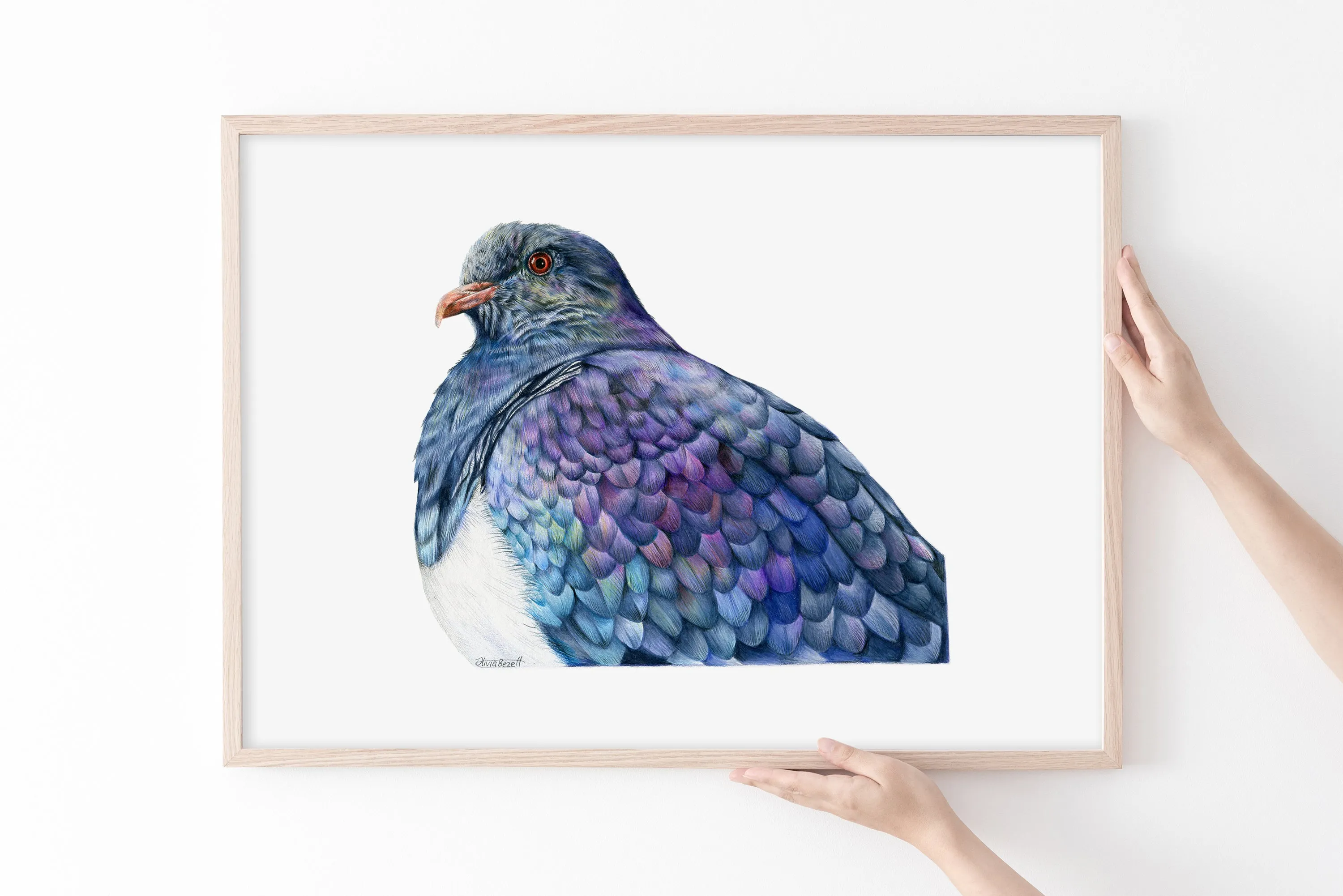 Proud Kererū Print