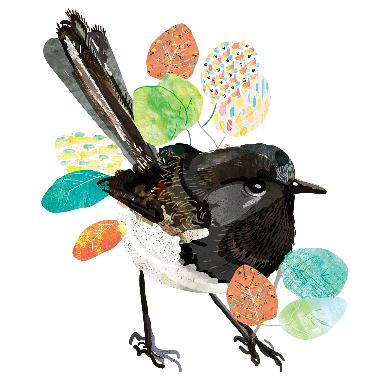 Willie Wagtail Art Print